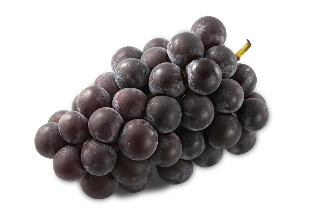 GRAPE