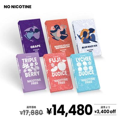 【全4種】6点セット（ノンニコチン）