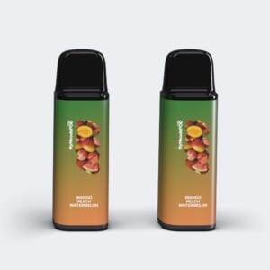 MANGO PEACH WATERMELON POD