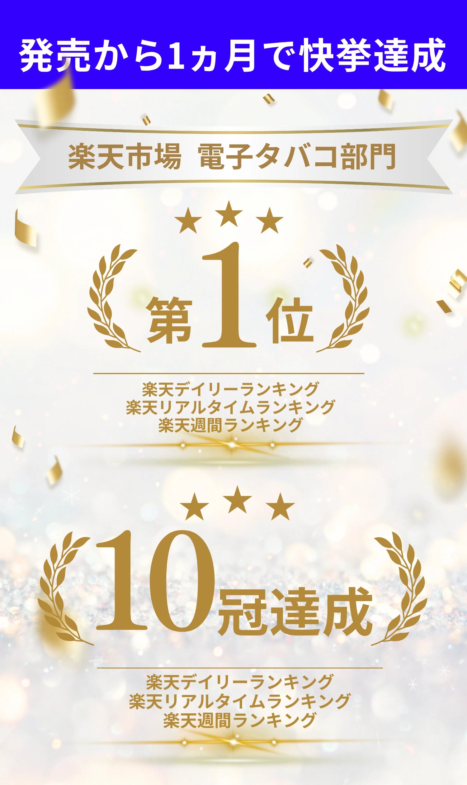 ランキング獲得実績